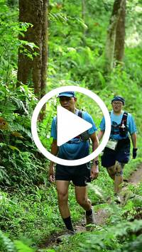 BIB:  <button type="button" onclick="openModal(28382958)" class="btn btn-primary btn-sm float-right" data-toggle="modal" data-target=".modal-high-quality">
                <i class="fa fa-download"></i> Download
                </button>